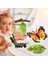Çocuklar Böcek Yaşam Döngüsü Kelebek Büyüme Playset Hayal Gibi Iogy Oyuncaklar B (Yurt Dışından) 4