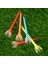 5 Parça Golf Tees Lot Premium Kalite Profesyonel Eğitim Aracı 7 cm 3