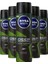 Deep Dimension Amazonia Erkek Deodorant 150 ml X5 1