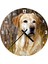 Cakatablo Kuru Otların Arasındaki Labrador Duvar Saati (Çap 30X30 Cm) 1