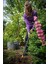 Quickfit Çift Taraflı Çapa (1000735 - 137572) 3