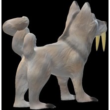 Aldım Geldi Tusked Husky Nın Sohbeti Plastik Aparat