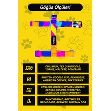 Patimio Colours Köpek Göğüs Tasması