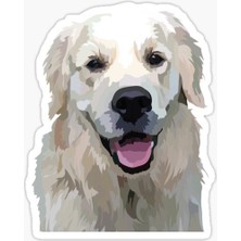 Golden Retriever Köpek Sticker Araba Oto Yapıştırması 17CM A2