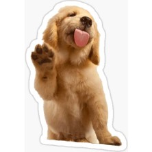Golden Yavrusu Köpek Sticker Araba Oto Yapıştırması 17CM G1