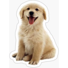Golden Yavrusu Köpek Sticker Araba Oto Yapıştırması 17CM G3