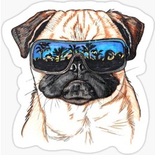 Pug Irkı Cinsi Köpek Sticker Araba Oto Yapıştırması 17CM N2