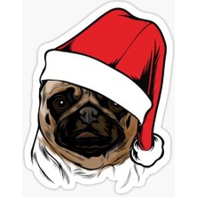 Pug Irkı Cinsi Köpek Sticker Araba Oto Yapıştırması 17CM Z4