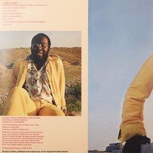 Curtis Mayfield / Curtis (Plak)