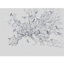 Eko Dekor 3boyutluduvarkagitlari Ağaç Dalları ve Kuşlar Duvar Kağıdı  Kanvas Tek Parca