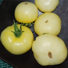 Tohum Dünyam White Wonder Domates Tohumu