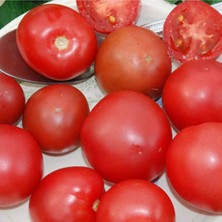 Tohum Dünyam Brandysweet Plum Domates Tohumu