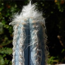 Tohum Dünyam Pilosocereus Leucocephalus Kaktüs Tohumu
