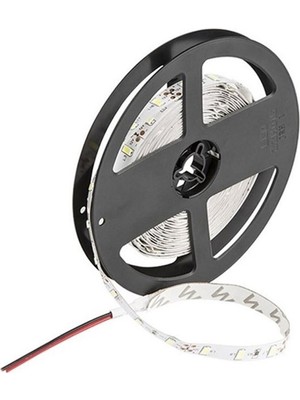 Cata Şerit LED Iç Mekan 10 Cipli 5 mt Günışığı