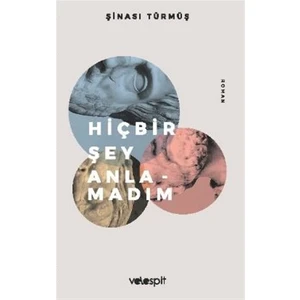 Hiçbir Şey Anlamadım - Şinasi Türmüş