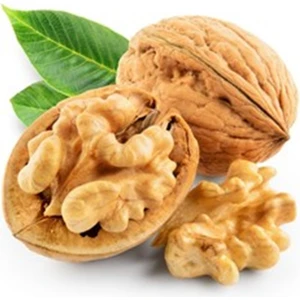 Tuğba Kuruyemiş Kabuklu Ceviz 500 gr