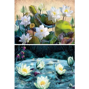 Nova Puzzle 2X1000 Parça Lotus (Nilüfer) Çiçekleri Puzzle Seti
