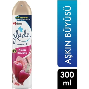 Aerosol Air Freshener 300 ml Love Magic