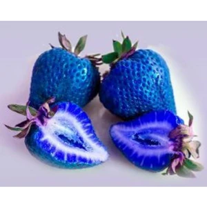 Tohum Dünyam 10 15 Adet Mavi Çilek Tohumu