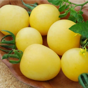 Tohum Dünyam Garden Peach Domates Tohumu