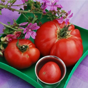 Tohum Dünyam Goose Creek Domates Tohumu