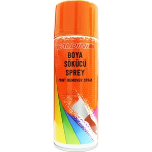 Boya Sökücü Sprey 400 ml