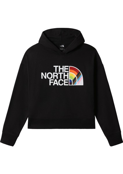 The North Face W Pullover Hoodie Kadın Outdoor Sweatshirts NF0A7QCLJK31 Siyah