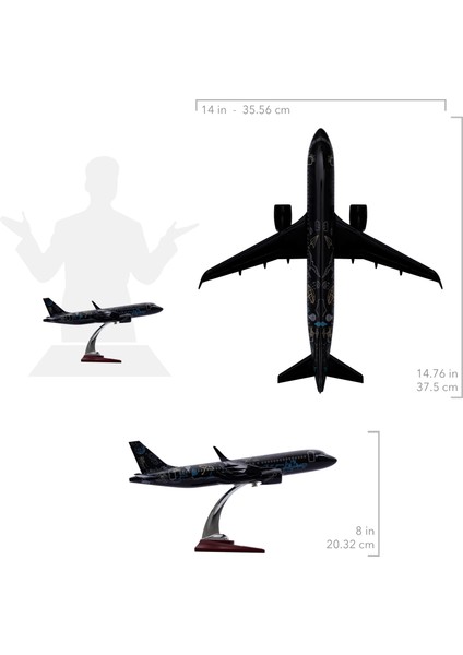 Airbus A320, 1/100 Siyah Renk, Desenli Uçak Maketi