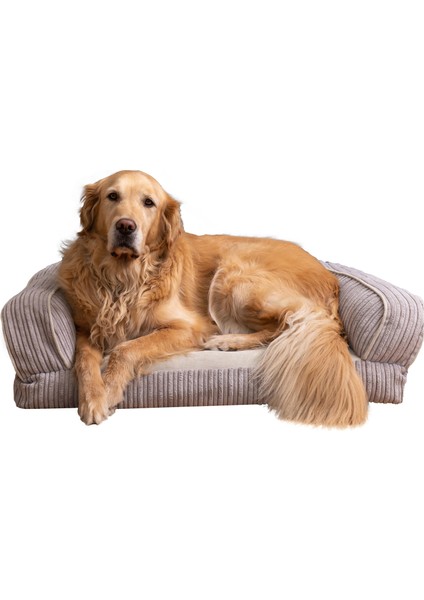 Bambi Köpek Yatağı Xl Bej 85 x 65 x 35 cm modelleri