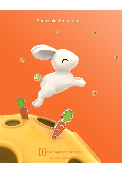 Havuç & Tavşan Pin Seti fırsatları