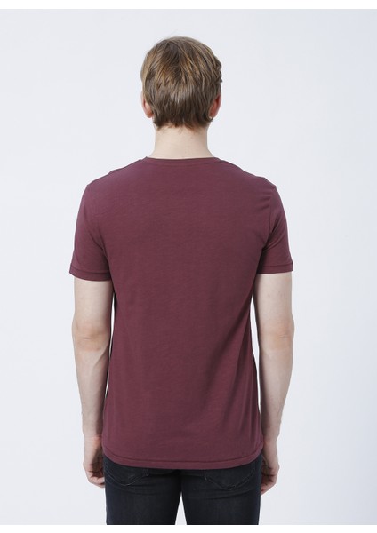 222 Lcm 242030 Kenway Bisiklet Yaka Slim Fit Baskılı Mürdüm Erkek T-Shirt modelleri