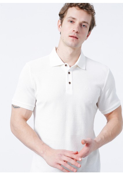 Regular Fit Düz Açık Kahve Erkek Polo T-Shirt - 222 Lcm 242049 Tylen