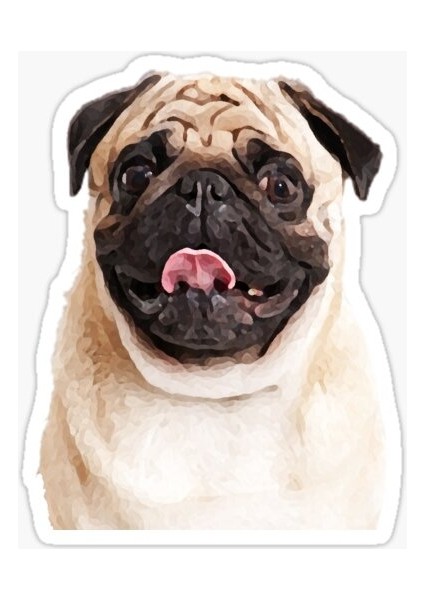 Pug Irkı Cinsi Köpek Sticker Araba Oto Yapıştırması 17CM F3