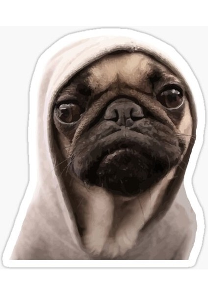 Pug Irkı Cinsi Köpek Sticker Araba Oto Yapıştırması 17CM N3
