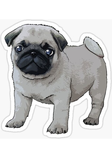Pug Yavru Cinsi Köpek Sticker Araba Oto Yapıştırması 17CM