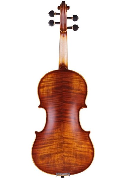 VLA8 - 4/4 Keman modelleri