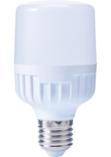CT-4242 40W/6500K LED Ampul (Beyaz) Cata