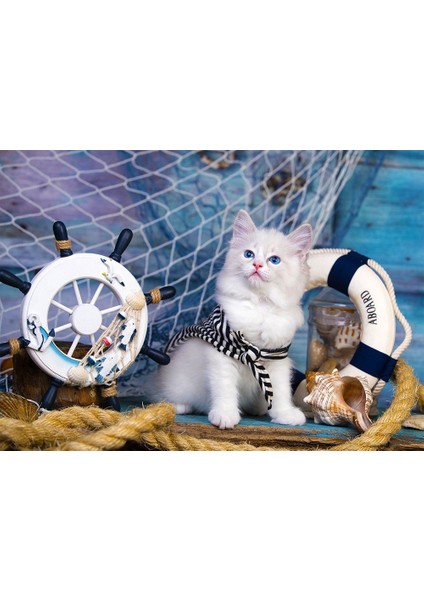 Puzzle 1000 Parça Kaptan Kedi Yavrusu Puzzle