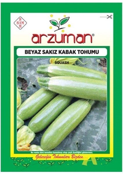Beyaz Sakız Kabak Tohumu