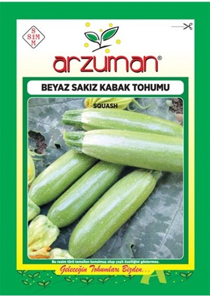 Beyaz Sakız Kabak Tohumu fiyatları