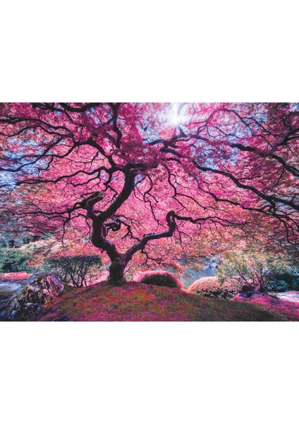 1000 Parçalık Puzzle / Pink Tree - Kod 1037