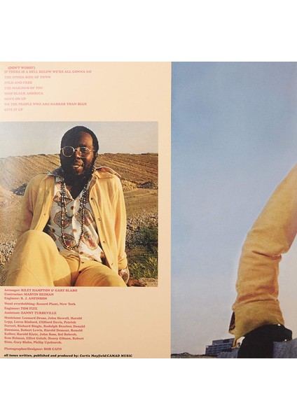 Curtis Mayfield / Curtis (Plak)