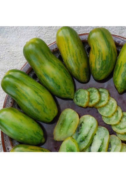 Green Sausage Domates Tohumu