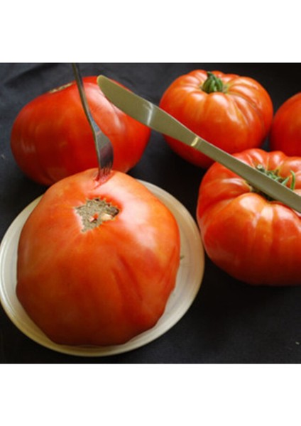 Couilles De Taureau Domates Tohumu