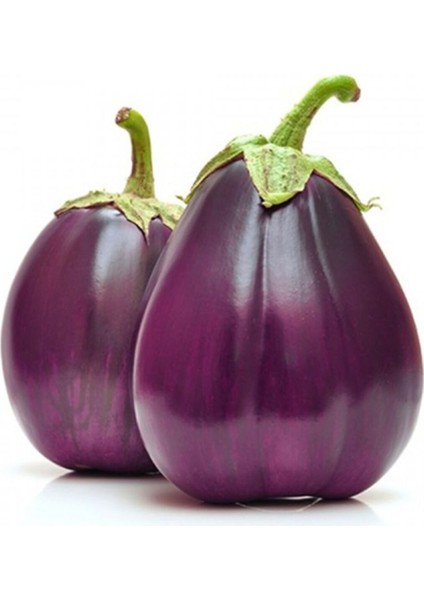 10 Adet Italyan Floransa Patlıcan Tohumu