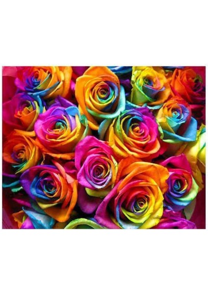 100 Adet Hollanda Gökkuşağı Gül Tohumu