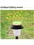 2 Adet Çim Açık Güneş Enerjili Otomatik Açma / Kapalı Rgb Süper Parlak Peyzaj Lambası Yolu Için (Yurt Dışından) 2