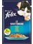 Ton Balıklı Yetişkin Kedi Konservesi Pouch 26X85 gr 1
