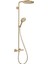 Raindance Select S Mat Bronz Termostakik Duş Kolonu 27633140 1