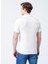 Regular Fit Düz Açık Kahve Erkek Polo T-Shirt - 222 Lcm 242049 Tylen 3